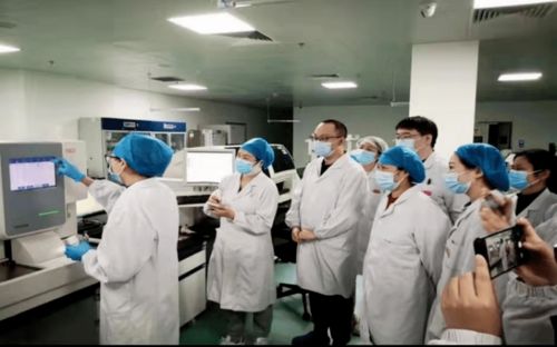 岗位大练兵 融合信息技术咨询服务，全面优化医疗技术与服务水平